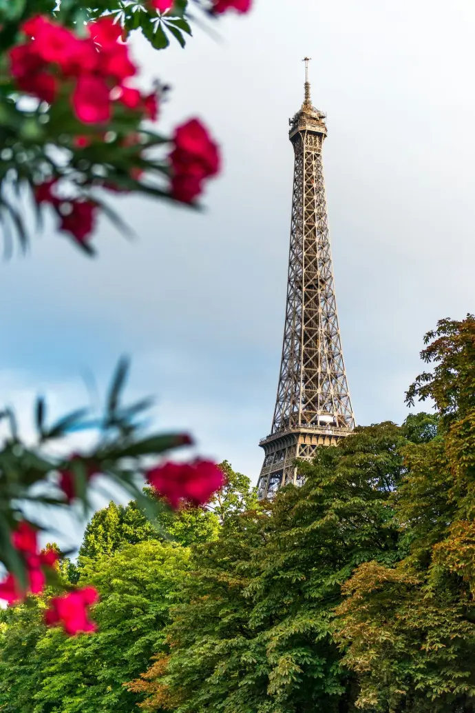 red flowers
